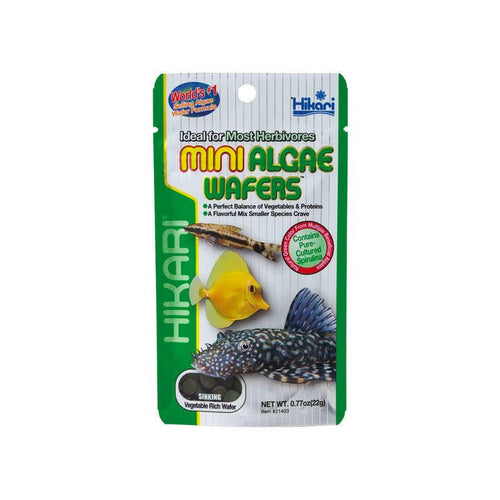Hikari Mini Algae Wafers 22g - Charterhouse Aquatics