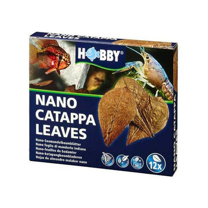 Hobby Catappa Leaves (x12) - Charterhouse Aquatics