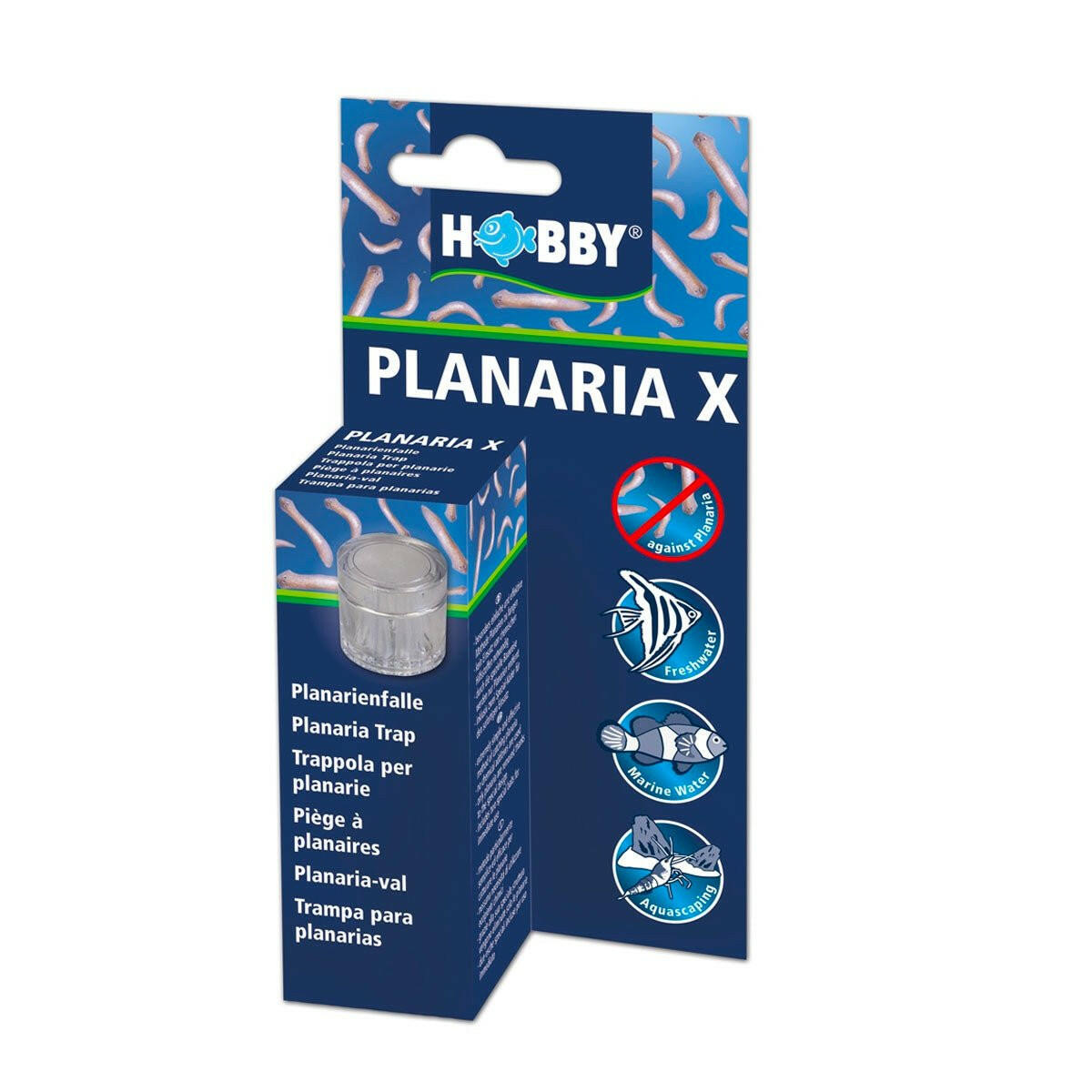 Hobby Planaria X Trap - Charterhouse Aquatics