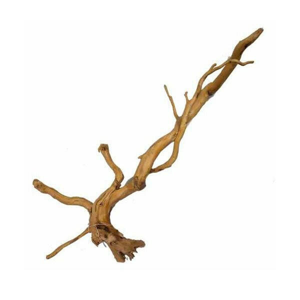 Honsu Wood - 35-50cm - Charterhouse Aquatics