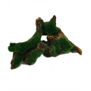 Hugo Aquascape Greenery - 10-19cm - Charterhouse Aquatics