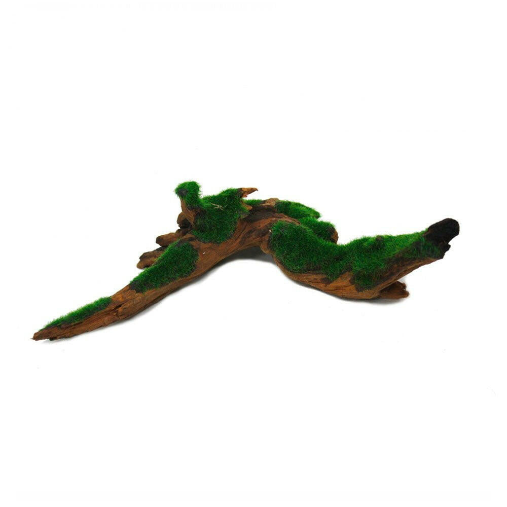 Hugo Aquascape Greenery - 19-25cm - Charterhouse Aquatics