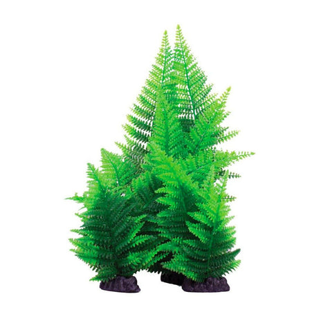 Hugo Kamishi Broad Leaf Fern Green 13cm - Charterhouse Aquatics