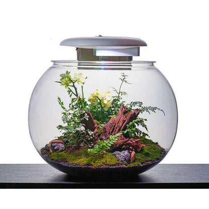 Hugo Kamishi Kyu Globe - 37L - Charterhouse Aquatics