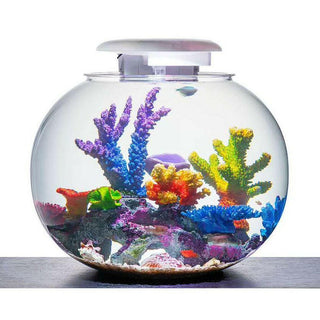 Hugo Kamishi Kyu Globe - 88L - Charterhouse Aquatics