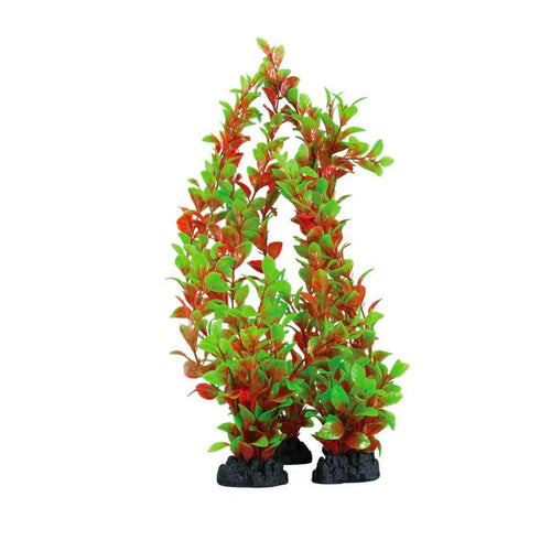 Hugo Kamishi Ludwigia Red and Green 13cm - Charterhouse Aquatics