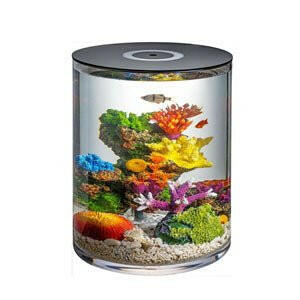 Hugo Kamishi Takai Fish Home - 25L - Charterhouse Aquatics