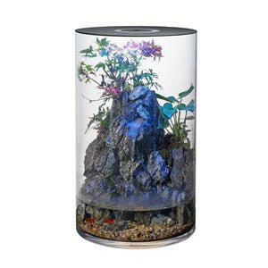Hugo Kamishi Takai Fish Home - 75L - Charterhouse Aquatics