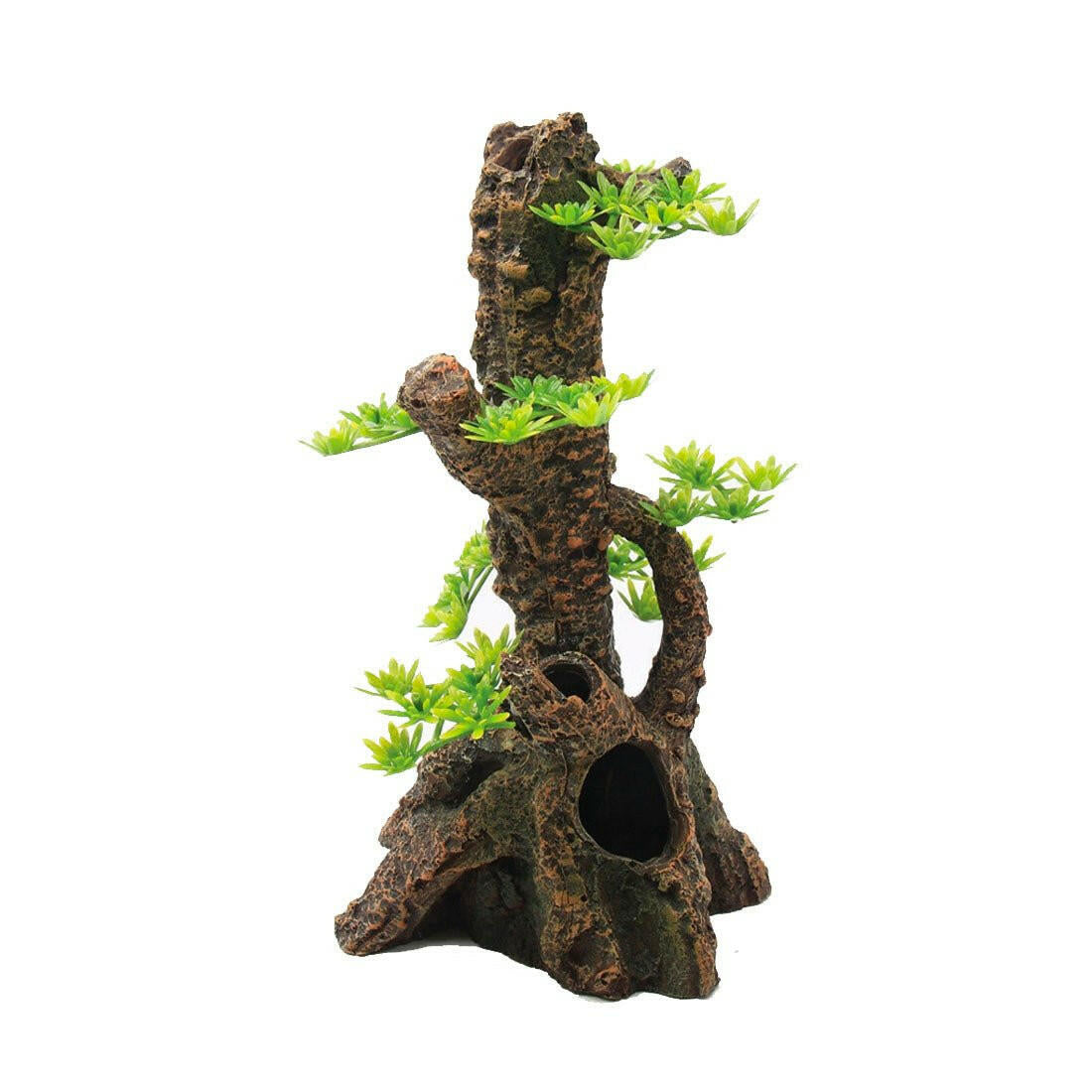 Hugo Pine Tree - 13 x 12 x 24cm - Charterhouse Aquatics