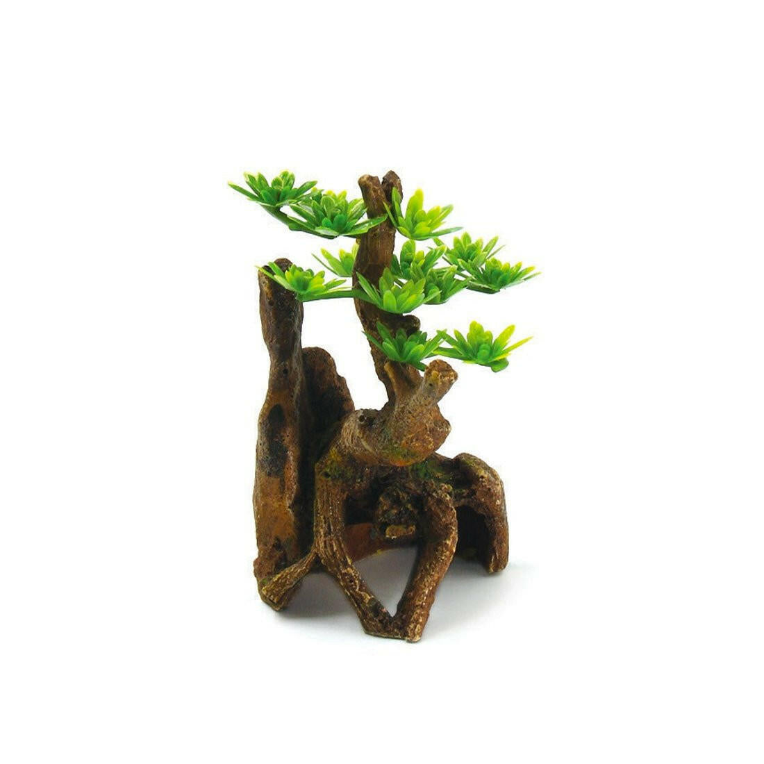 Hugo Pine Tree - 7 x 6 x 11cm - Charterhouse Aquatics