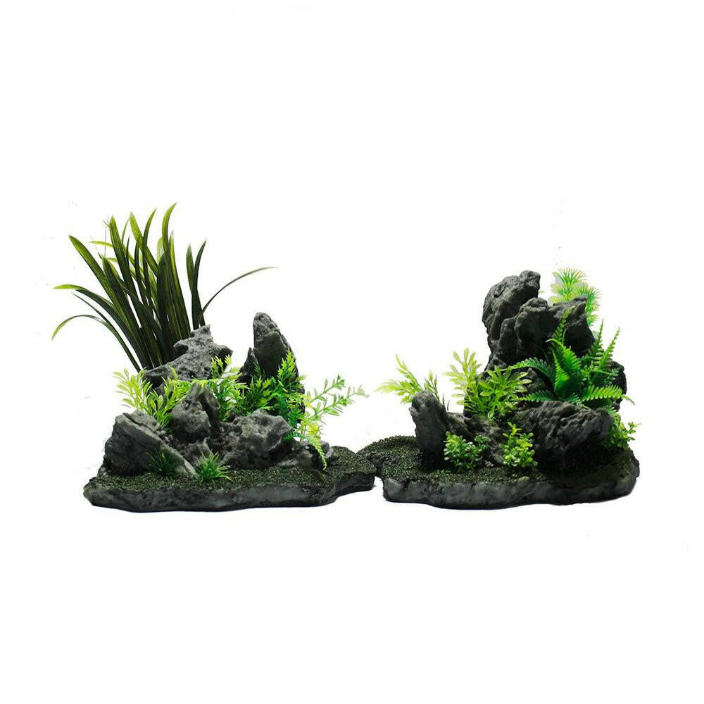 Hugo Rockplant Combi - 42 x 21 x 23cm - Charterhouse Aquatics