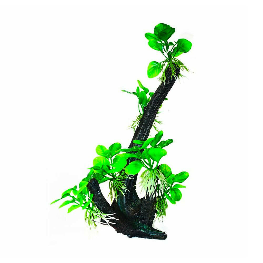 Hugo Tree Branch - 20 x 11 x 33cm - Charterhouse Aquatics