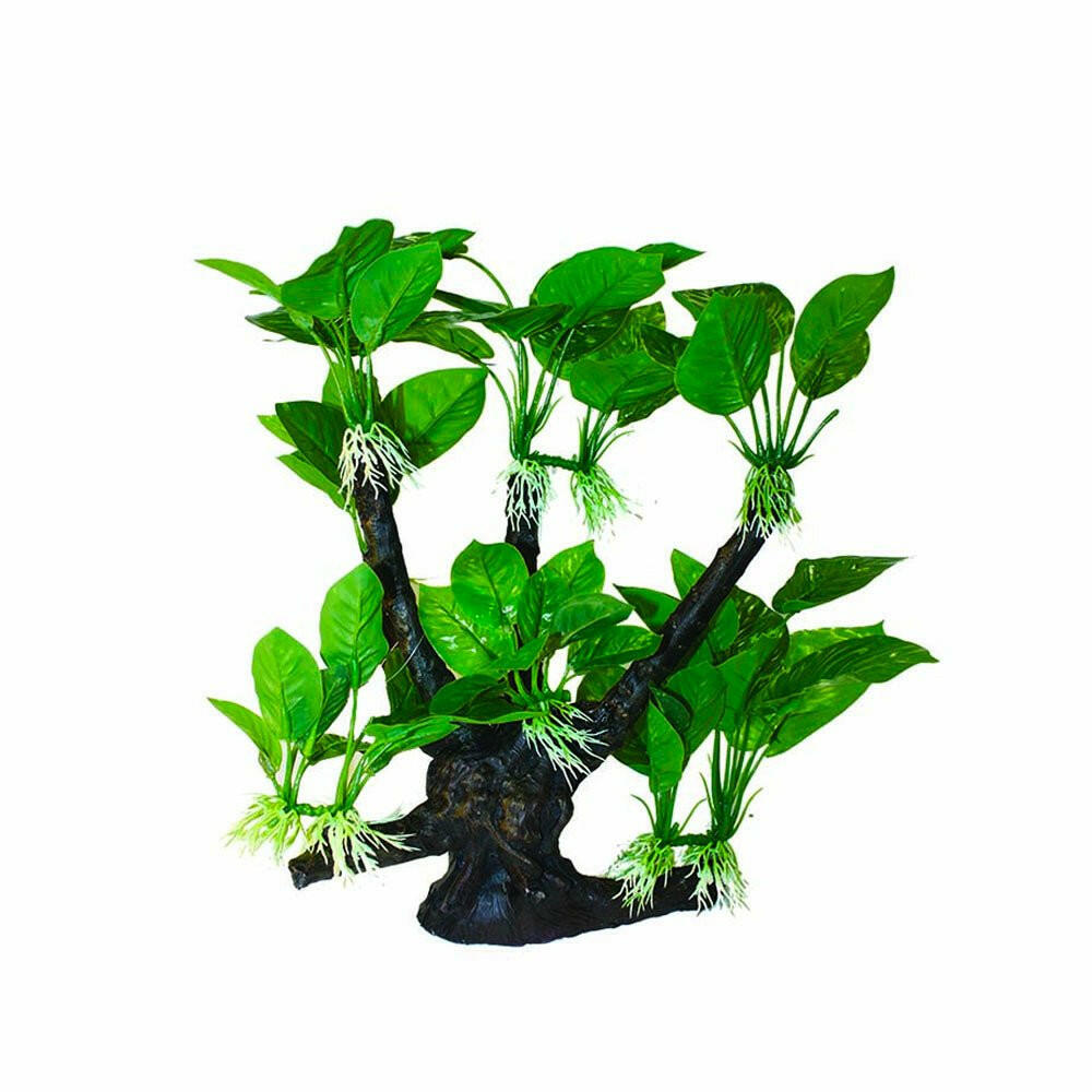 Hugo Tree Branch - 33 x 26 x 37cm - Charterhouse Aquatics