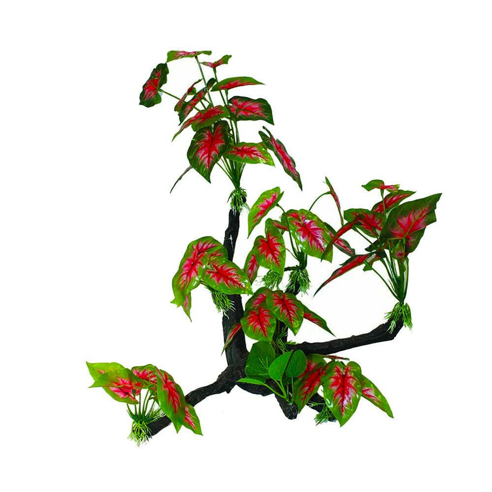 Hugo Tree Branch - 36 x 16 x 58cm - Charterhouse Aquatics