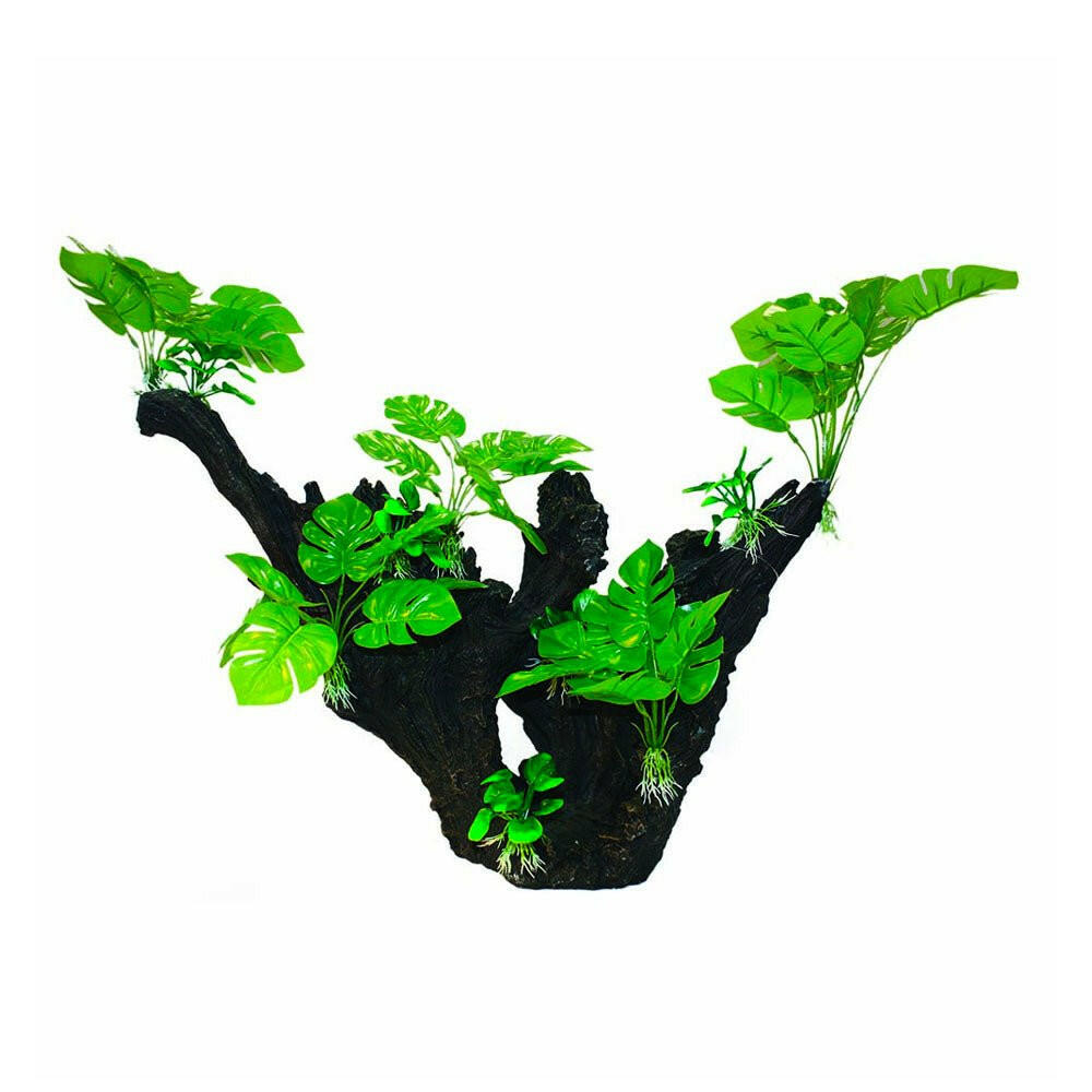 Hugo Tree Branch - 57 x 25 x 49cm - Charterhouse Aquatics