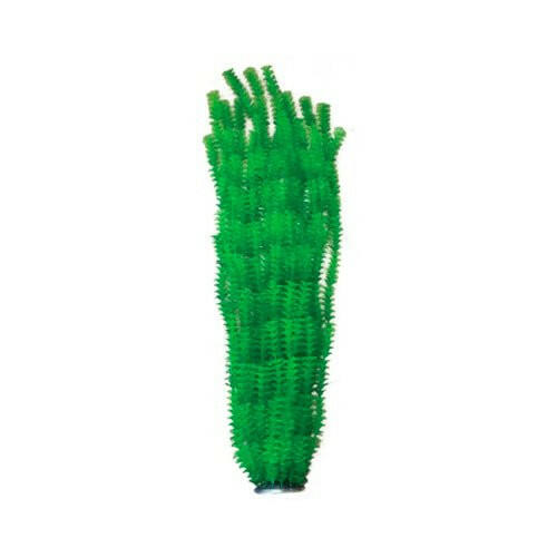 Hugo XL Large Plant Green 1 95cm - Charterhouse Aquatics