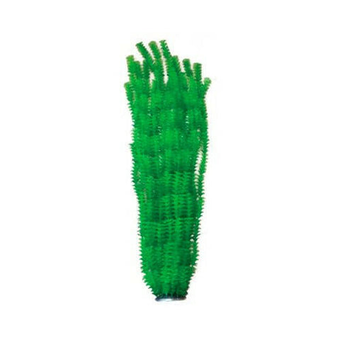 Hugo XL Large Plant Green 1 95cm - Charterhouse Aquatics