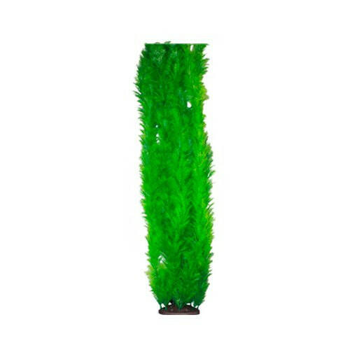 Hugo XL Large Plant Green 2 95cm - Charterhouse Aquatics