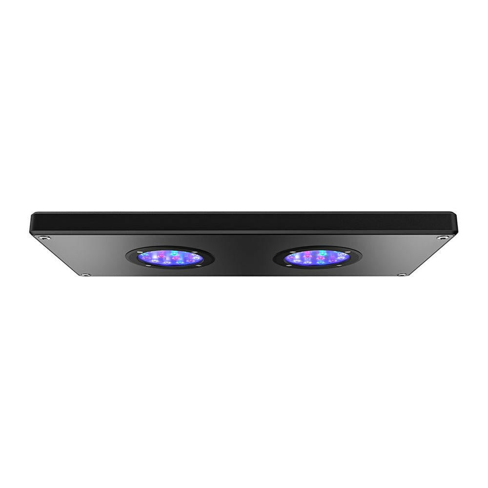 Hydor Aqamai Reef LED M - Black - Charterhouse Aquatics