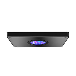 Hydor Aqamai Reef LED S - Black - Charterhouse Aquatics