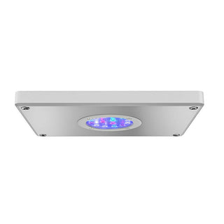Hydor Aqamai Reef LED S - White - Charterhouse Aquatics