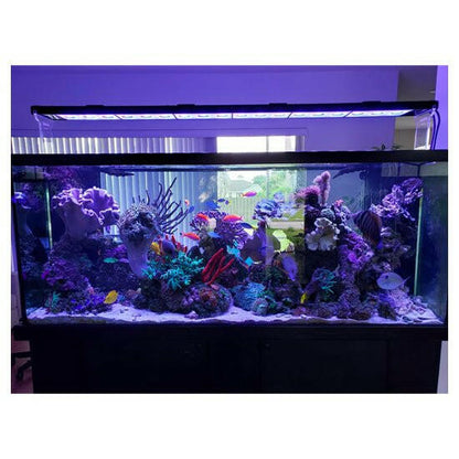 Illumagic Blaze 60/90/120/150/180 Rimless Ghost Legs - Charterhouse Aquatics