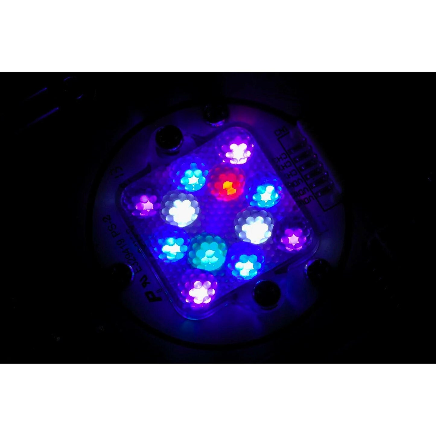 Illumagic Blaze X 120 LED - Charterhouse Aquatics