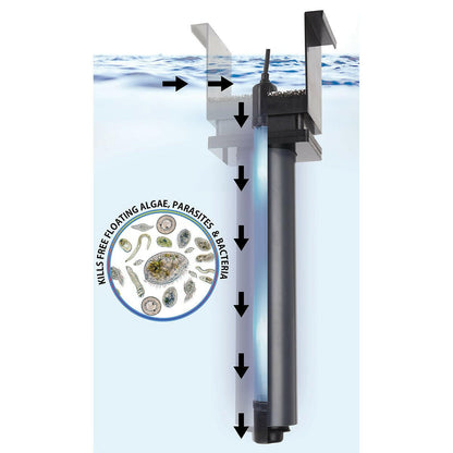 Innovative Marine AUQA Shield UV Sterilizer -desktop - Charterhouse Aquatics