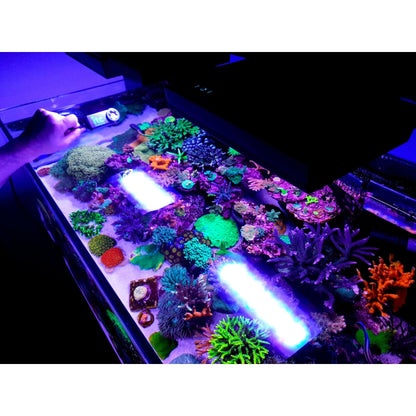 ITC Reefculture PARwise - Charterhouse Aquatics