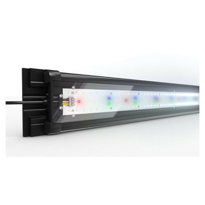 Juwel HeliaLux Spectrum 1000 LED - Charterhouse Aquatics