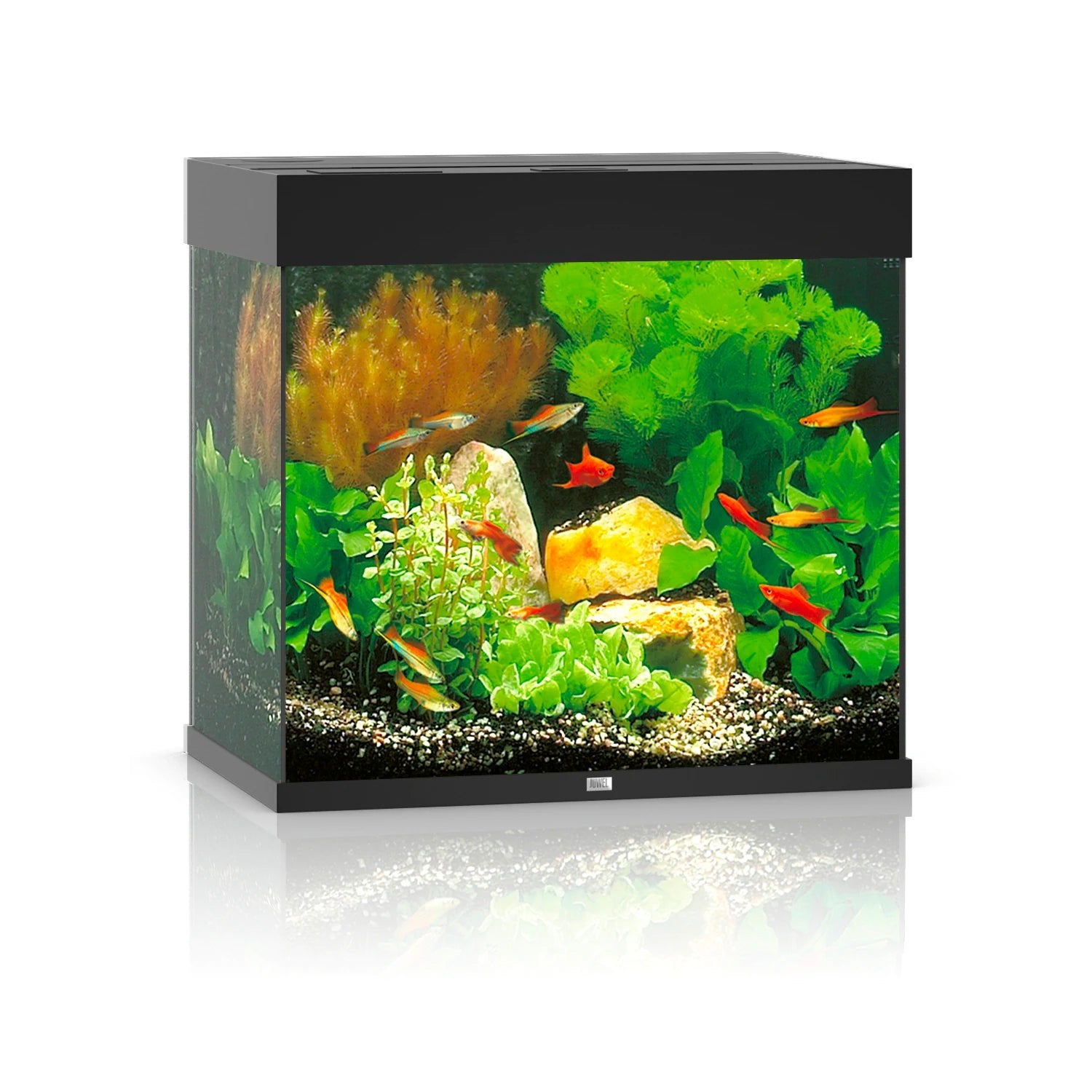 Juwel Lido 120 LED Aquarium Only - Black - Charterhouse Aquatics