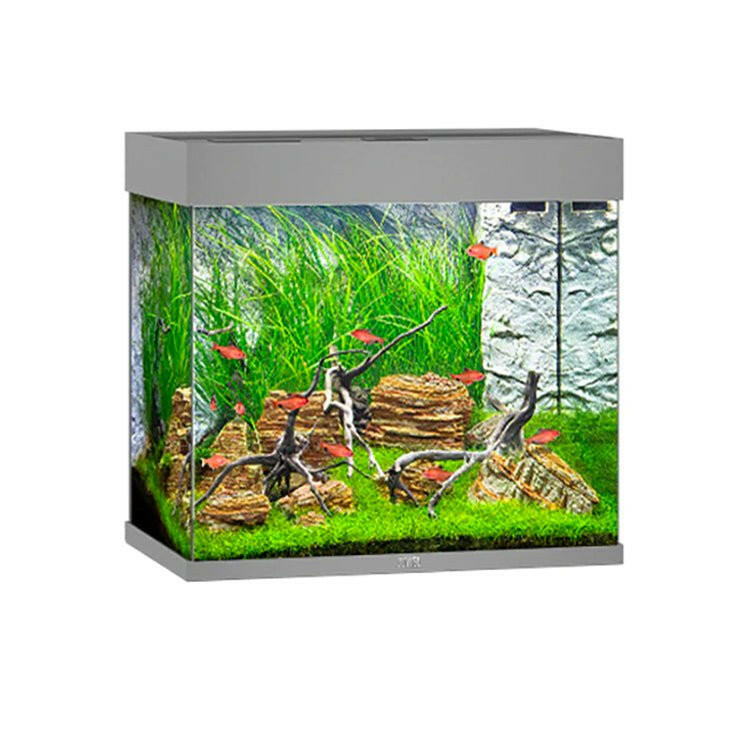 Juwel Lido 120 LED Aquarium Only - Grey - Charterhouse Aquatics