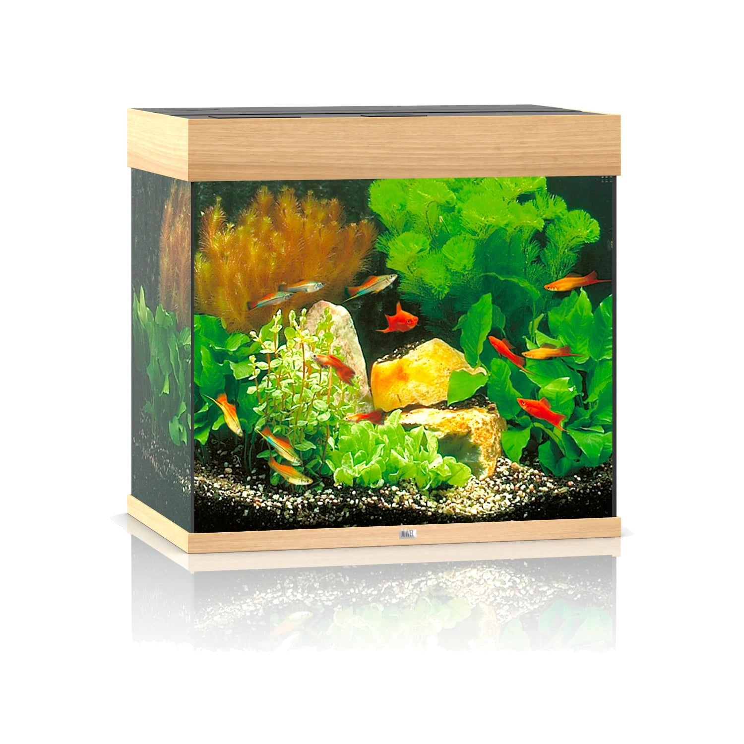 Juwel Lido 120 LED Aquarium Only - Light Wood - Charterhouse Aquatics