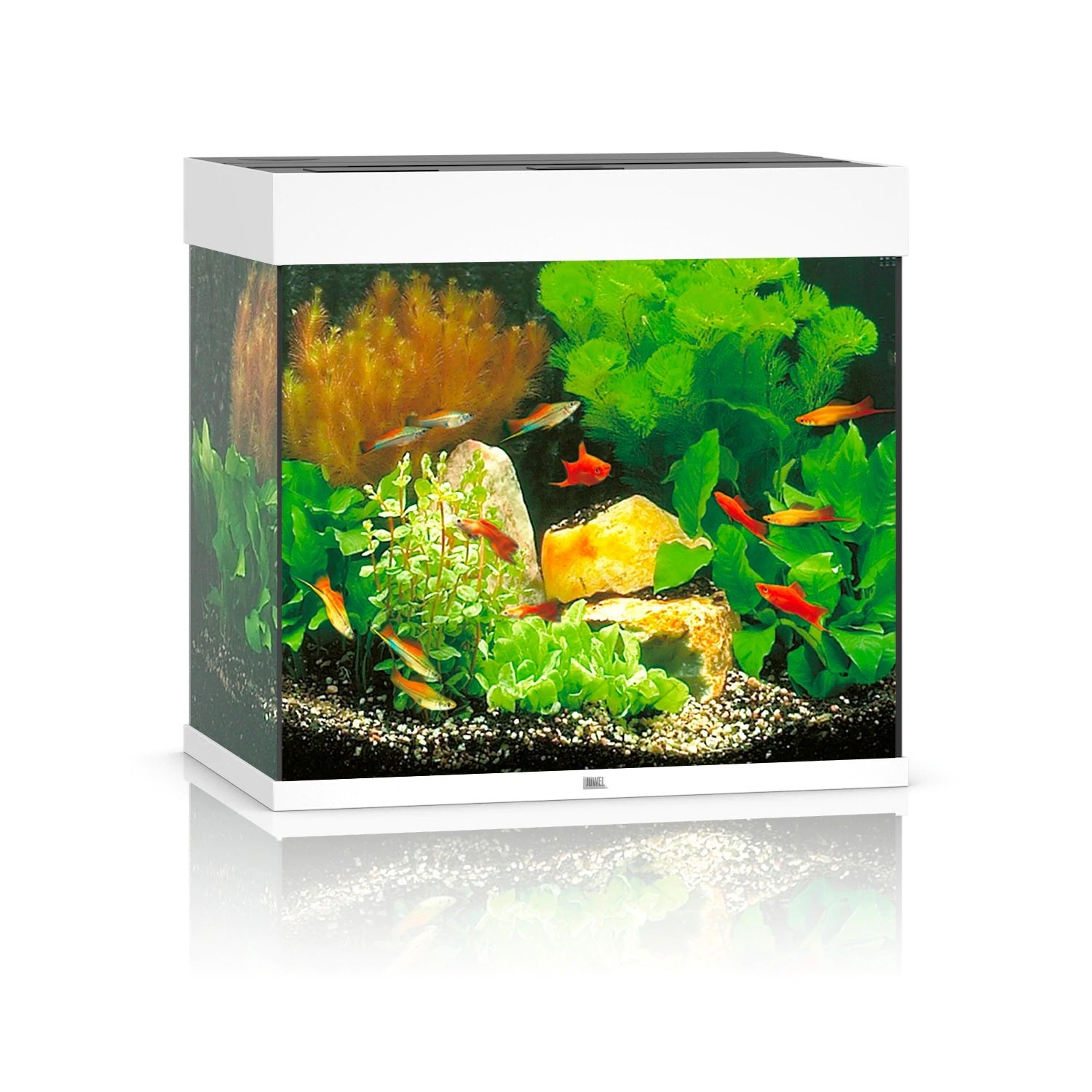 Juwel Lido 120 LED Aquarium Only - White - Charterhouse Aquatics