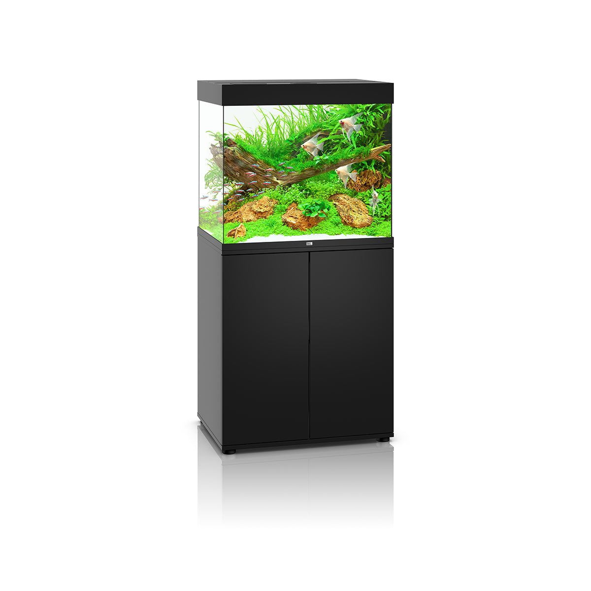 Juwel Lido 200 LED Aquarium and Cabinet (Black) - Charterhouse Aquatics