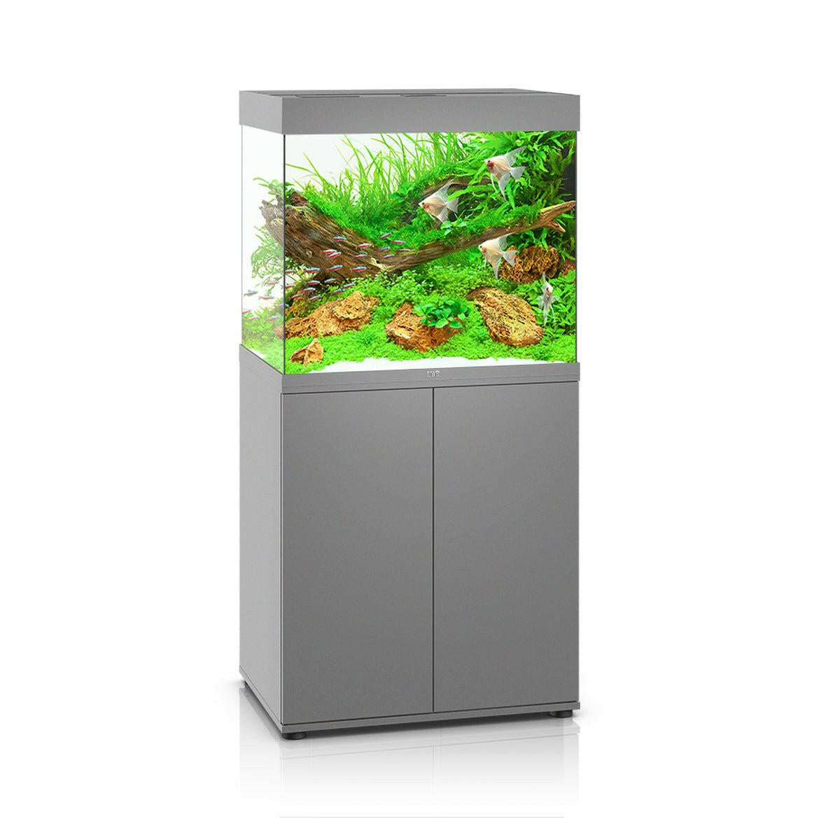 Juwel Lido 200 LED Aquarium and Cabinet (Grey) - Charterhouse Aquatics