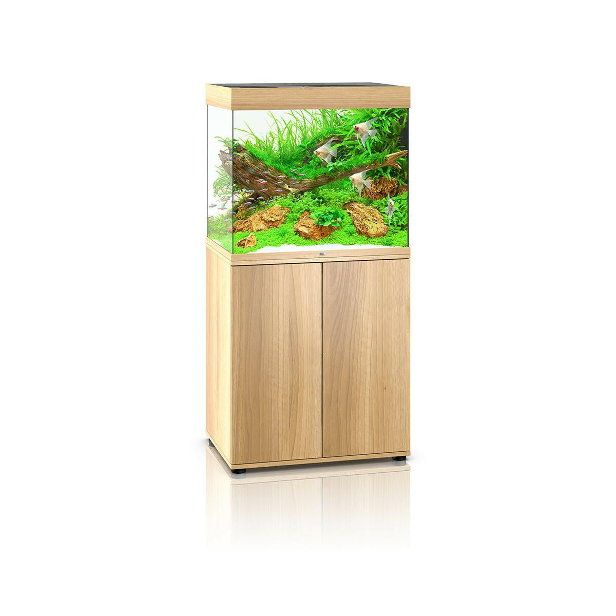 Juwel Lido 200 LED Aquarium and Cabinet (Light Wood) - Charterhouse Aquatics