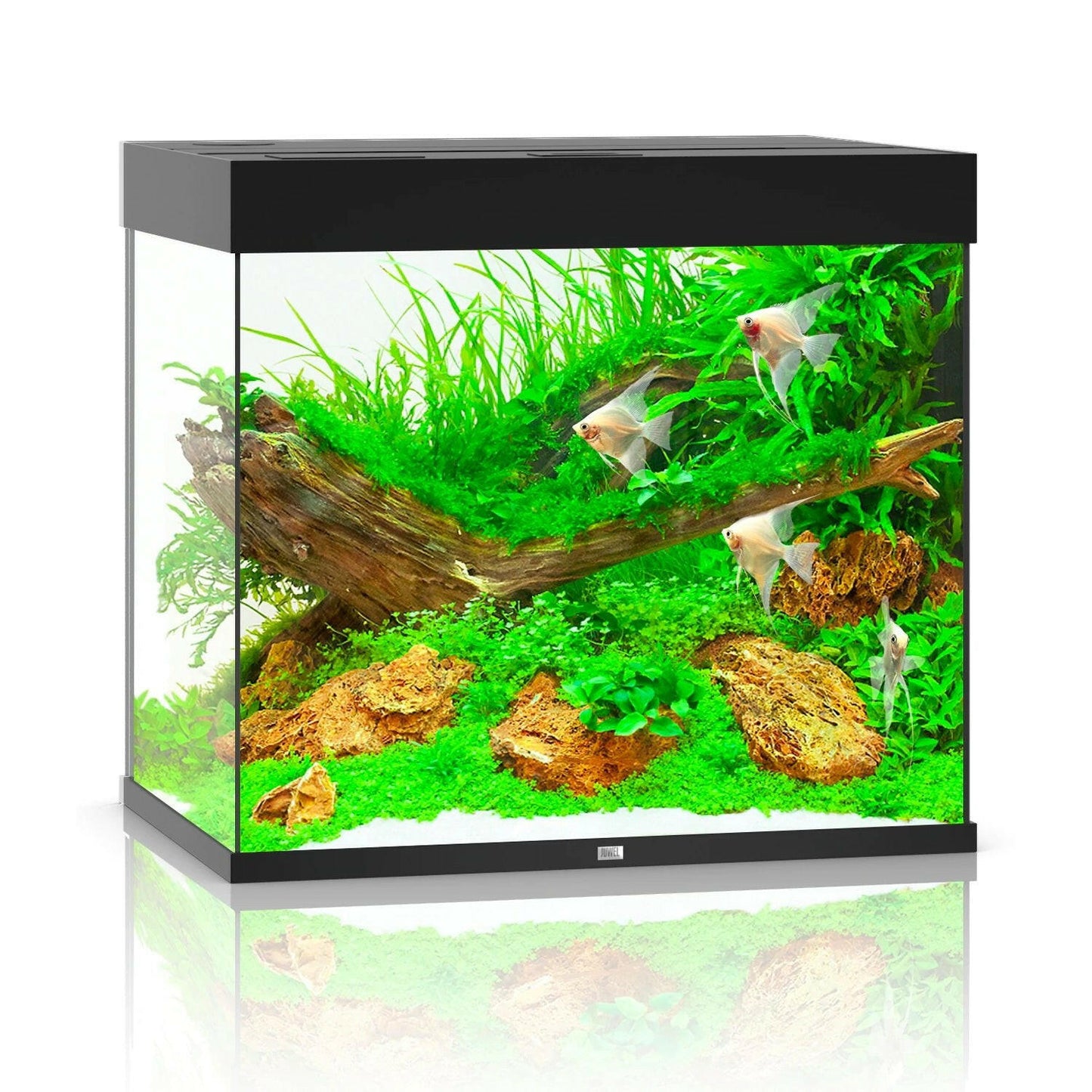 Juwel Lido 200 LED Aquarium Only - Black - Charterhouse Aquatics