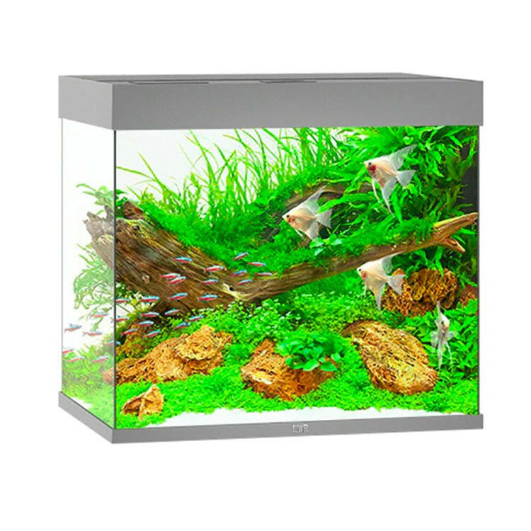 Juwel Lido 200 LED Aquarium Only - Grey - Charterhouse Aquatics