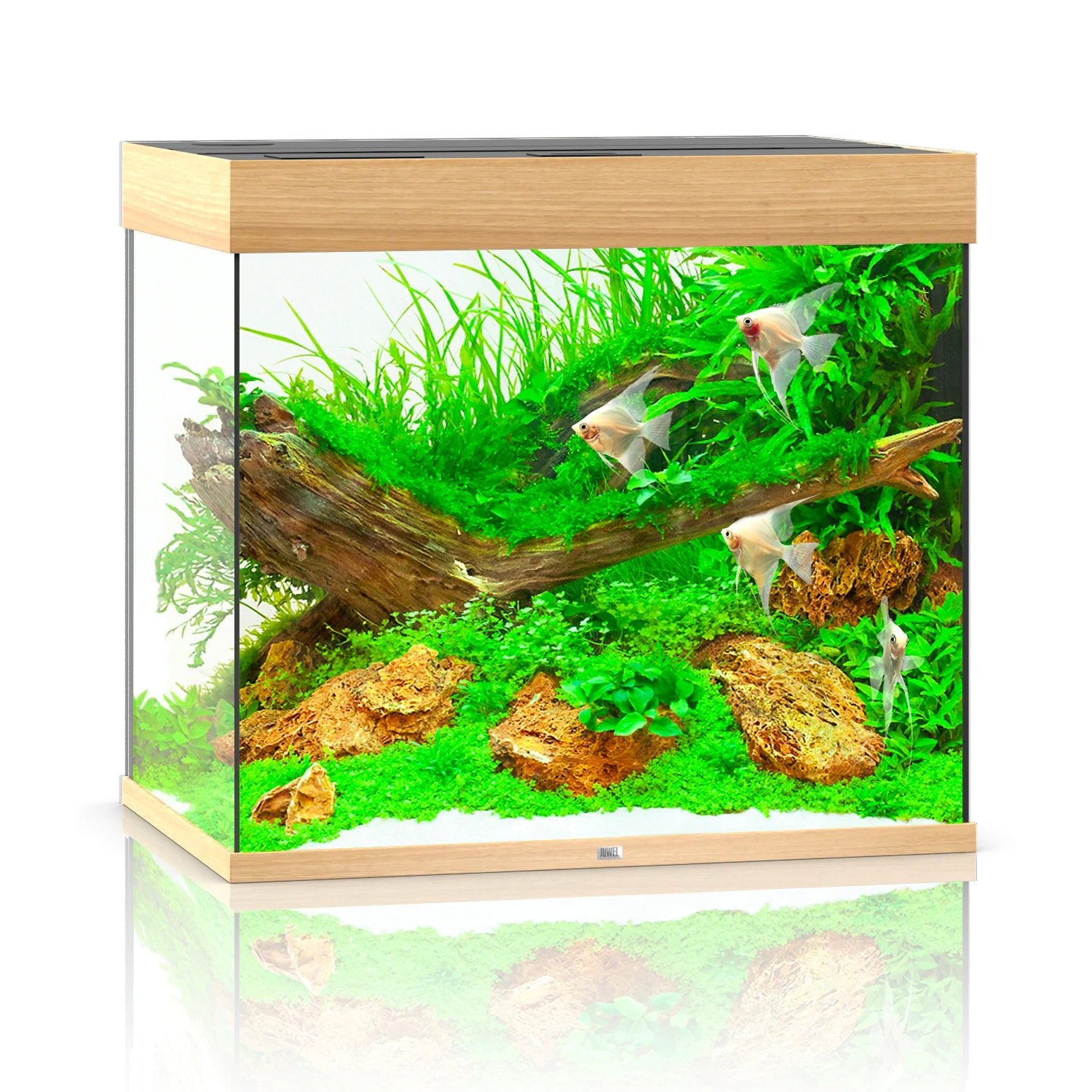 Juwel Lido 200 LED Aquarium Only - Light Wood - Charterhouse Aquatics