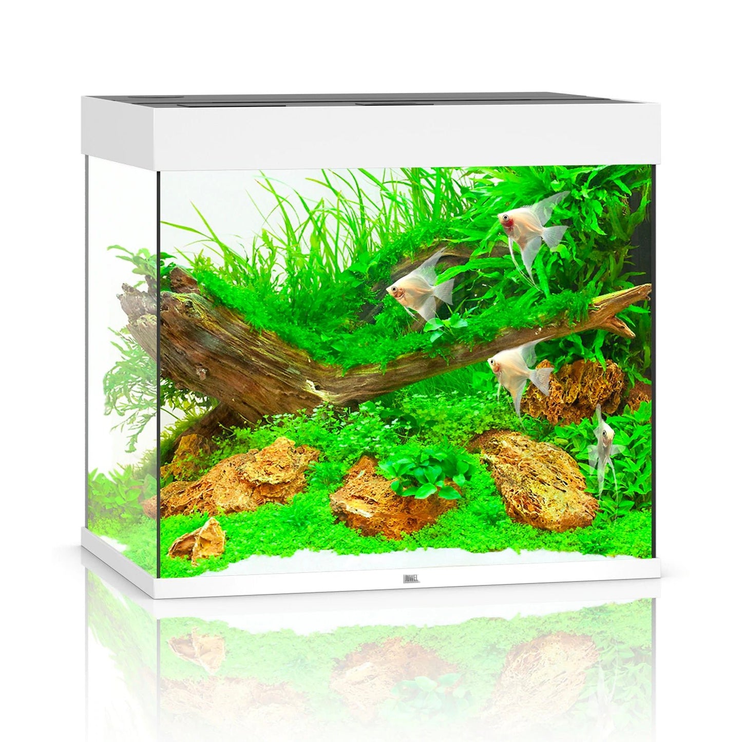 Juwel Lido 200 LED Aquarium Only - White - Charterhouse Aquatics