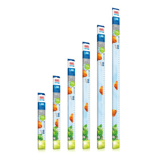 Juwel Multilux LED Tube - Day 438mm - Charterhouse Aquatics
