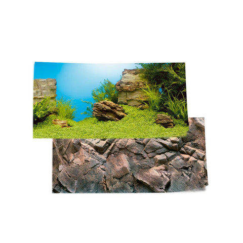 Juwel Poster 1 - S (60cm x 30cm) - Charterhouse Aquatics