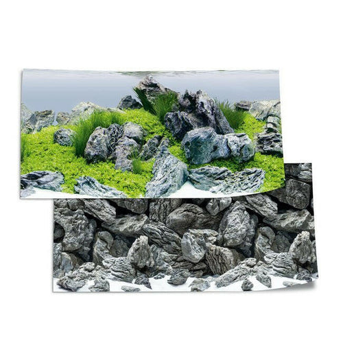 Juwel Poster 4 - L (100cm x 50cm) - Charterhouse Aquatics