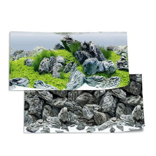 Juwel Poster 4 - XL (150cm x 60 cm) - Charterhouse Aquatics