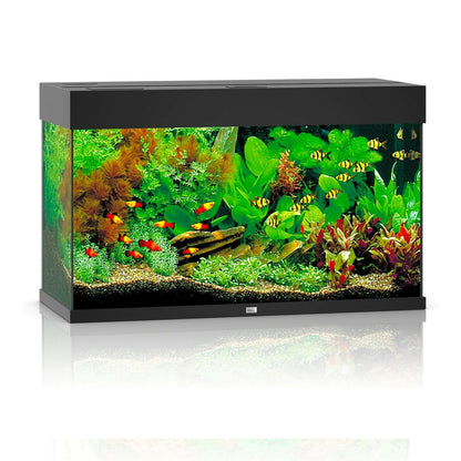 Juwel Rio 125 LED Aquarium Only - Black - Charterhouse Aquatics