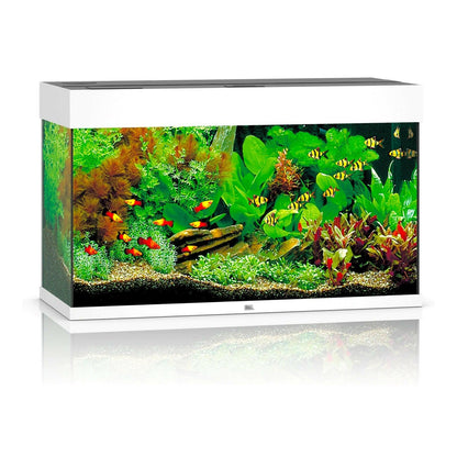Juwel Rio 125 LED Aquarium Only - Black - Charterhouse Aquatics