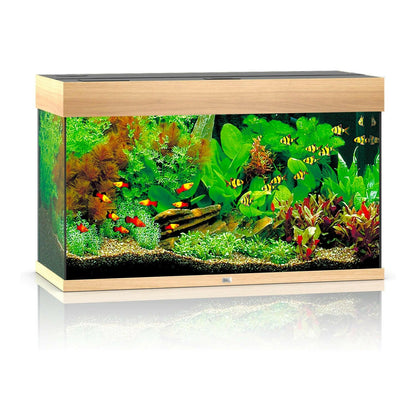 Juwel Rio 125 LED Aquarium Only - Black - Charterhouse Aquatics