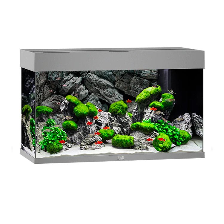 Juwel Rio 125 LED Aquarium Only - Black - Charterhouse Aquatics
