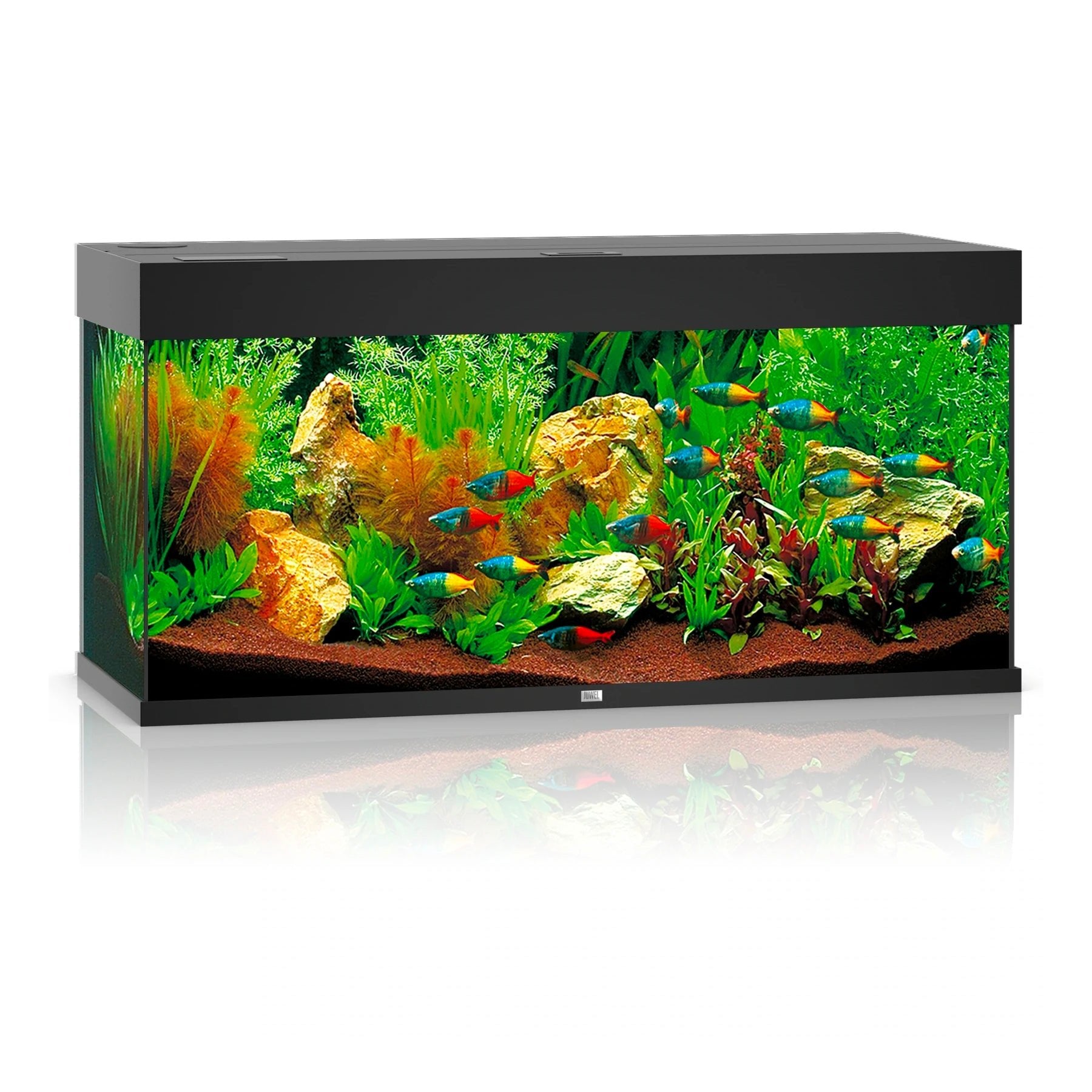 Juwel Rio 180 LED Aquarium Only - Black - Charterhouse Aquatics